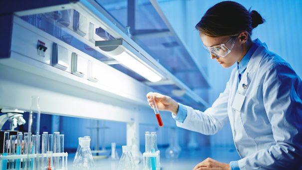 Sample project image